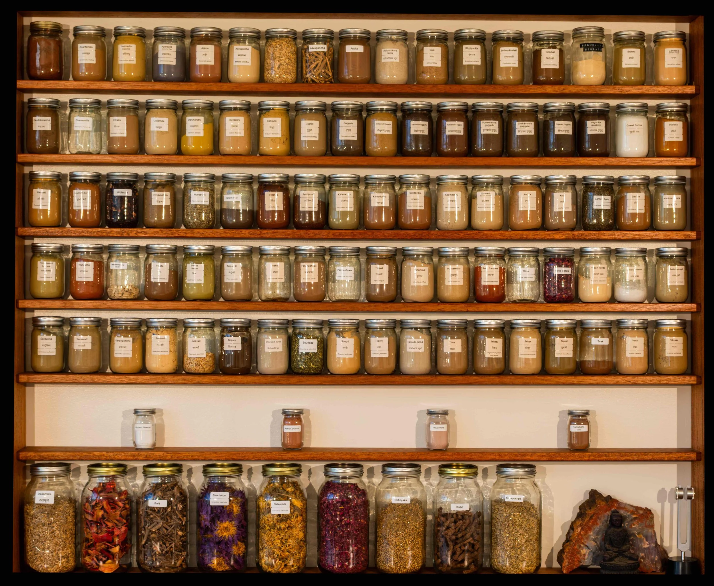 Wall of herbal jars in the apothecary